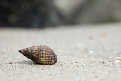 BUITEN BEELD Foto: 110444