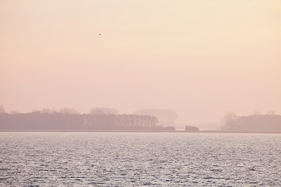 BUITEN BEELD Foto: 110478