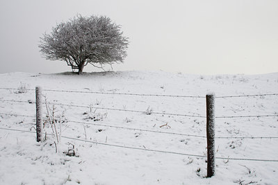 BUITEN BEELD Foto: 110489