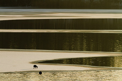 BUITEN BEELD Foto: 110636