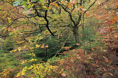 BUITEN BEELD Foto: 110750