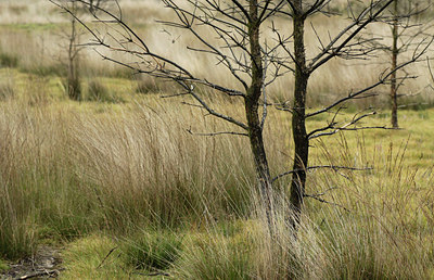 BUITEN BEELD Foto: 110813