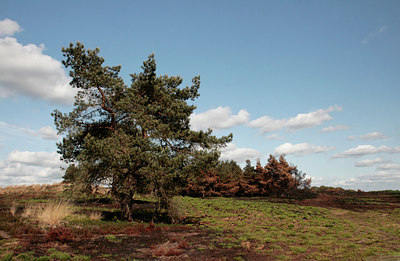 BUITEN BEELD Foto: 110832