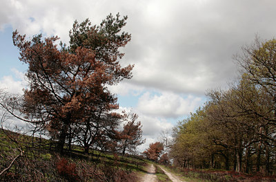 BUITEN BEELD Foto: 110835