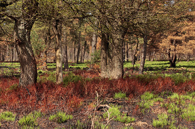 BUITEN BEELD Foto: 110840