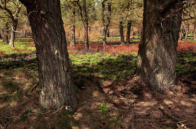 BUITEN BEELD Foto: 110964