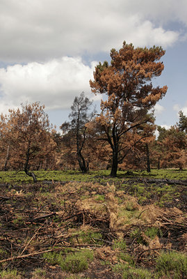 BUITEN BEELD Foto: 110967