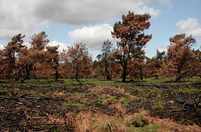 BUITEN BEELD Foto: 110968