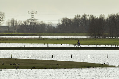 BUITEN BEELD Foto: 111003
