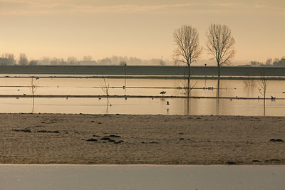 BUITEN BEELD Foto: 111013