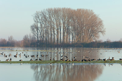 BUITEN BEELD Foto: 111015
