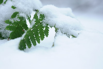 BUITEN BEELD Foto: 111233