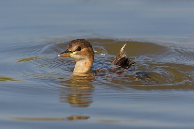 BUITEN BEELD Foto: 111254
