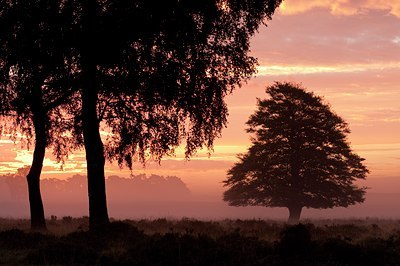 BUITEN BEELD Foto: 111299