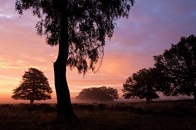 BUITEN BEELD Foto: 111301