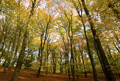 BUITEN BEELD Foto: 111306