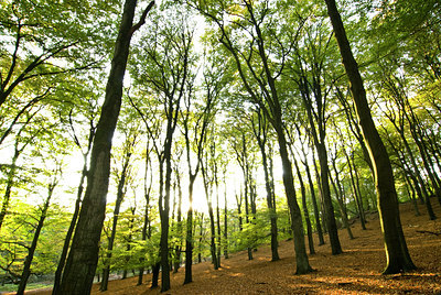 BUITEN BEELD Foto: 111308