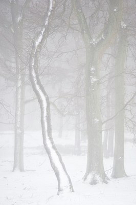 BUITEN BEELD Foto: 111314