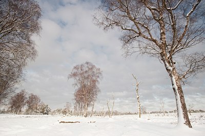 BUITEN BEELD Foto: 111320