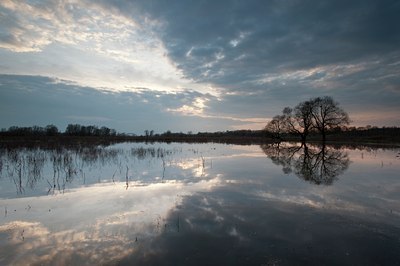 BUITEN BEELD Foto: 111331