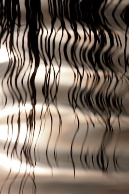 BUITEN BEELD Foto: 111377