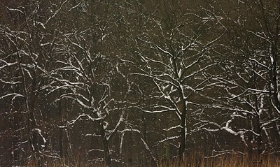 BUITEN BEELD Foto: 111378