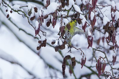 BUITEN BEELD Foto: 111471