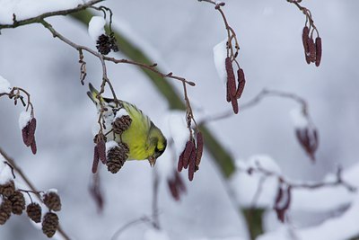 BUITEN BEELD Foto: 111497