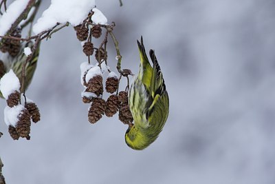 BUITEN BEELD Foto: 111499