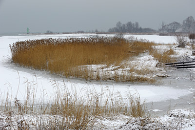 BUITEN BEELD Foto: 111558