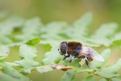 BUITEN BEELD Foto: 111635