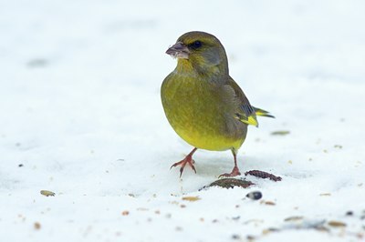 BUITEN BEELD Foto: 111658