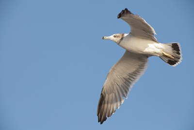 BUITEN BEELD Foto: 111734