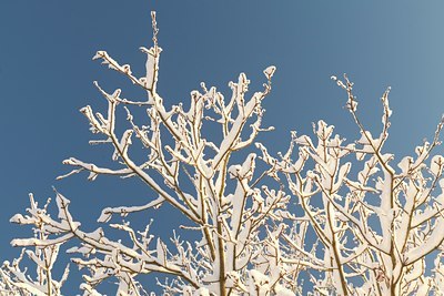 BUITEN BEELD Foto: 111797