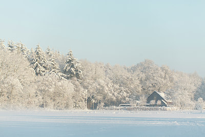 BUITEN BEELD Foto: 111820