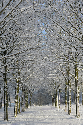 BUITEN BEELD Foto: 111824