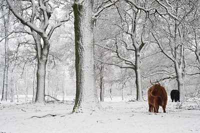BUITEN BEELD Foto: 111849