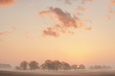BUITEN BEELD Foto: 111857