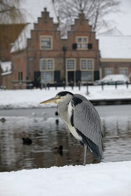 BUITEN BEELD Foto: 111863
