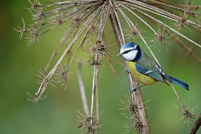 BUITEN BEELD Foto: 111880