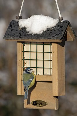 BUITEN BEELD Foto: 111882