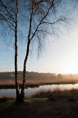 BUITEN BEELD Foto: 112114
