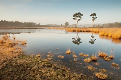 BUITEN BEELD Foto: 112116