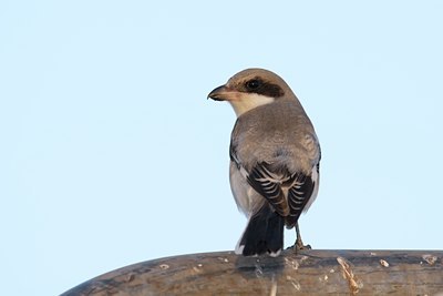 BUITEN BEELD Foto: 112128