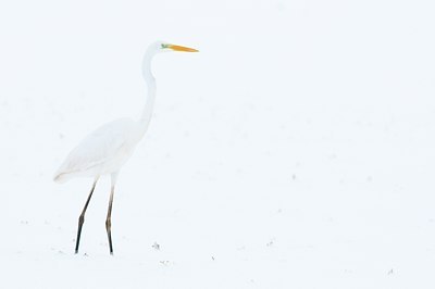 BUITEN BEELD Foto: 112142