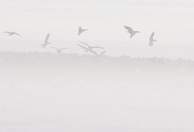 BUITEN BEELD Foto: 112229