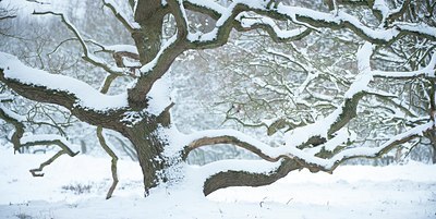 BUITEN BEELD Foto: 112239