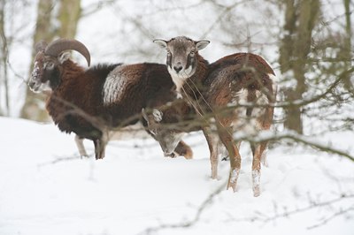 BUITEN BEELD Foto: 112248