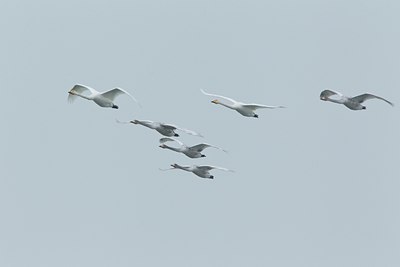 BUITEN BEELD Foto: 112265