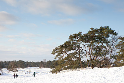 BUITEN BEELD Foto: 112279